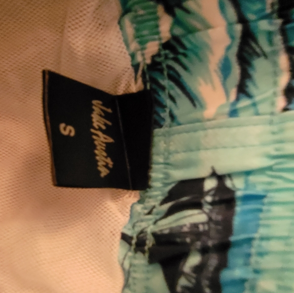 Mens Swim Trunks from Jake Austin
Cool Design: mul - Picture 3 of 4